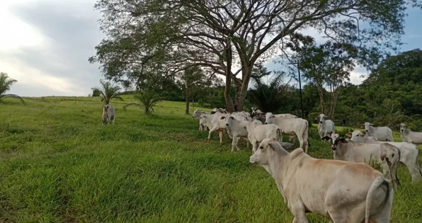 Fazenda de 50 alqueires a 2 km de São sebastião de Paraiso