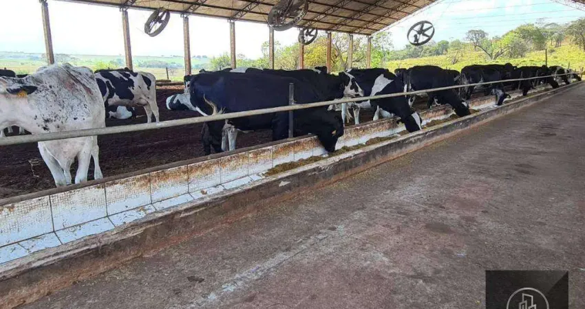 Fazenda à venda, 750200 m² por R$ 4.500.000,00 - Centro - Emilianópolis/SP