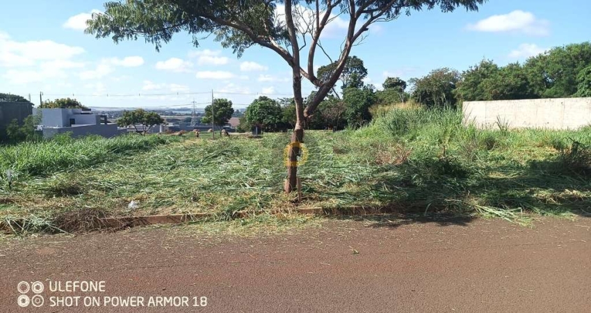 Terreno à venda no bairro Jardim Pancera - Toledo/PR