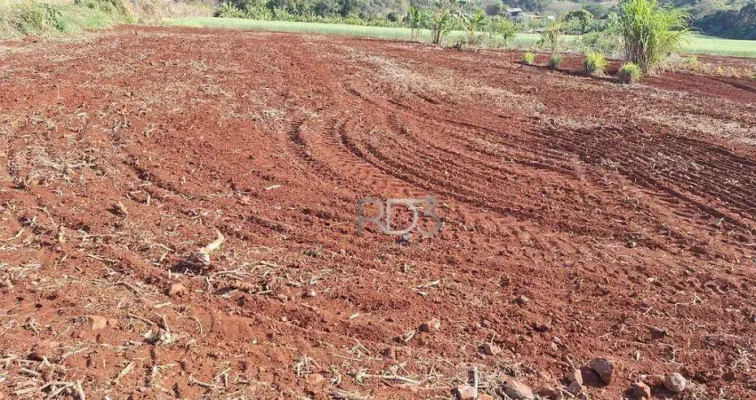 Chácara à venda, 1000 m² - Patrimônio Selva - Londrina/PR