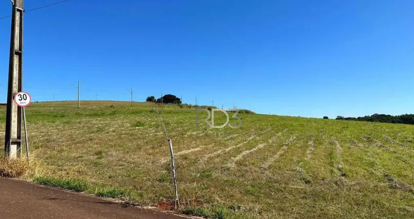 Terreno à venda, 1562 m² por R$ 1.380.000,00 - Esperança - Londrina/PR