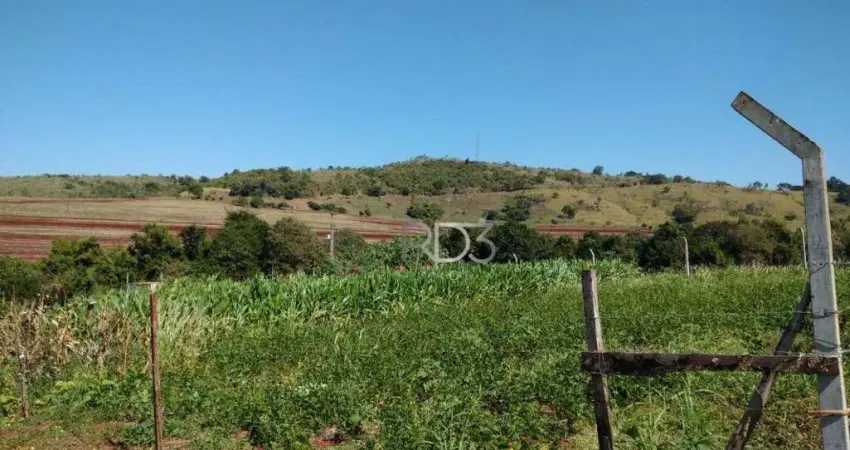Chácara à venda, 1000 m² por R$ 160.000 - Três Bocas - Londrina/PR