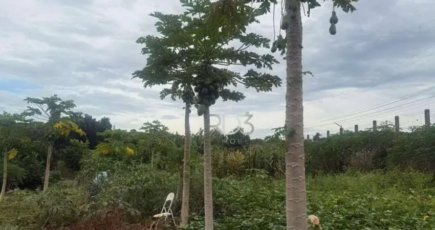 Chácara à venda, 2000 m² por R$ 175.000 - USINA 3 BOCAS- Londrina/PR