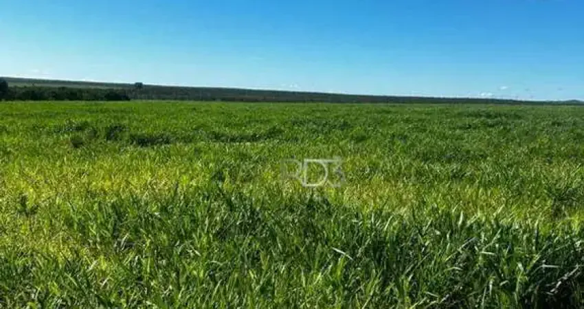 Fazenda à venda, 200 hectares, por R$ 5.000.000 - Abadia de Goiás - Abadia de Goiás/GO