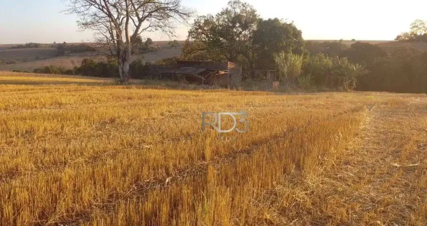 Chácara / sítio à venda na Rodovia BR-369, 1, Contorno Norte, Ibiporã