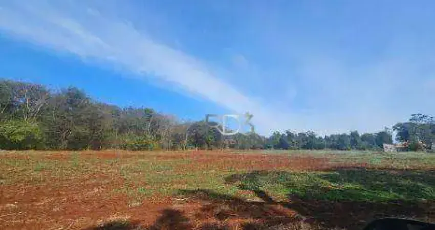 Terreno à venda, 14000 m² por r$ 2.600.000,00 - eucaliptos - londrina/pr