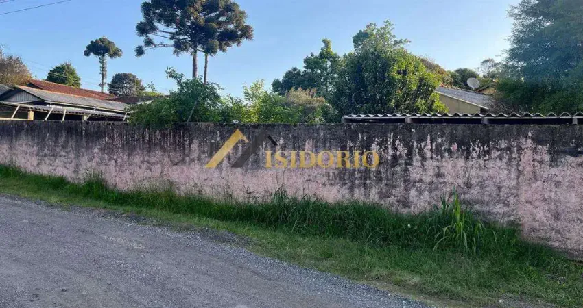 Terreno para construir no santa cândida, otíma localização!!