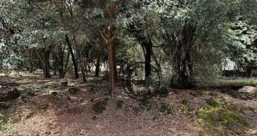 Terreno à venda, 7100 m² por R$ 25.000.000,00 - Campolim - Sorocaba/SP