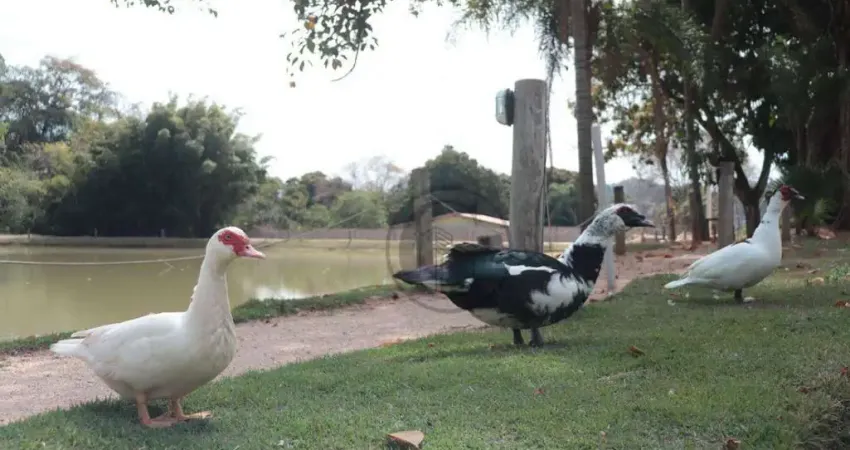 Terreno à venda, 269 m² por R$ 186.855 - Condominio Vista Verde Sorocaba - Sorocaba/SP