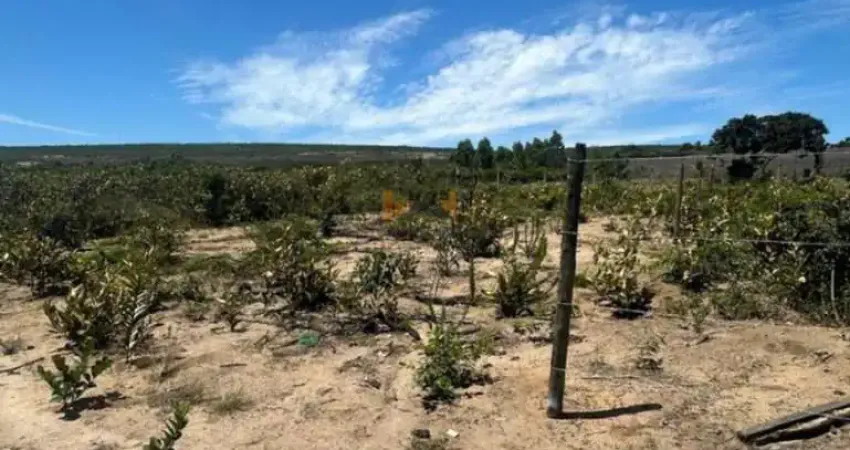 Terreno à venda na Rodovia BR-116, Distrito Industrial, Vitória da Conquista