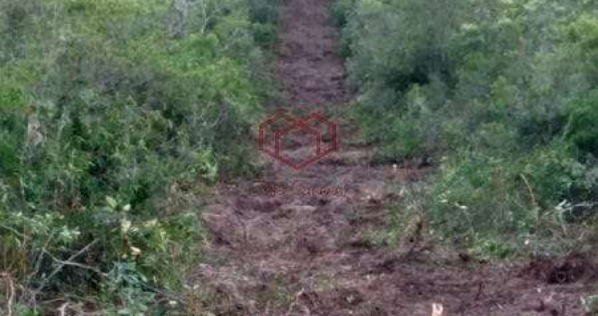 Chácara à venda 1 Quarto, 900M², Zona Rural, Reserva do Cabaçal - MT