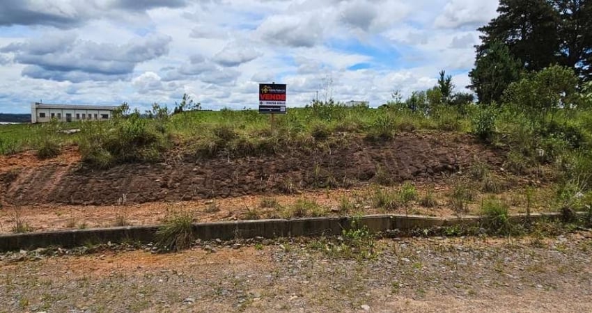 Terreno à venda na Rua Dirceu Wiese, São Pedro, Rio Negrinho