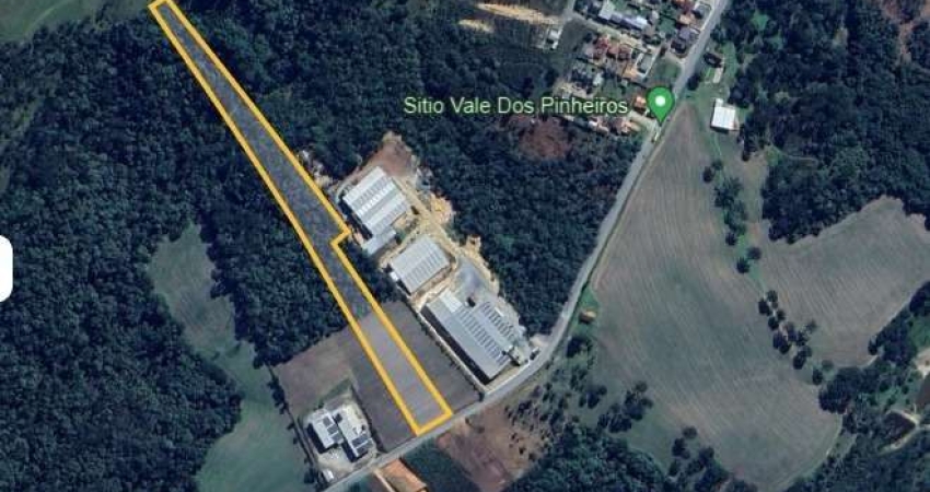 Terreno à venda na Rua João Ehrenfredo Olsen, São Pedro, Rio Negrinho