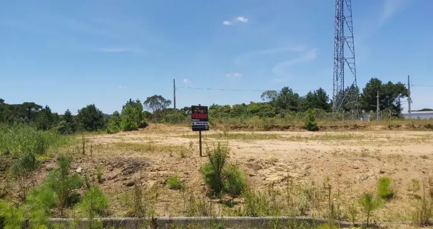 Terreno à venda na Rua Dirceu Wiese, São Pedro, Rio Negrinho