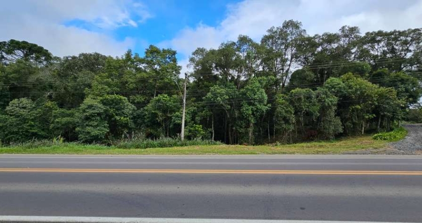 Terreno à venda na Rodovia BR 280, São Pedro, Rio Negrinho