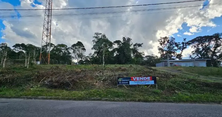 Terreno à venda na Rua Eduardo Ruckl, Vista Alegre, Rio Negrinho