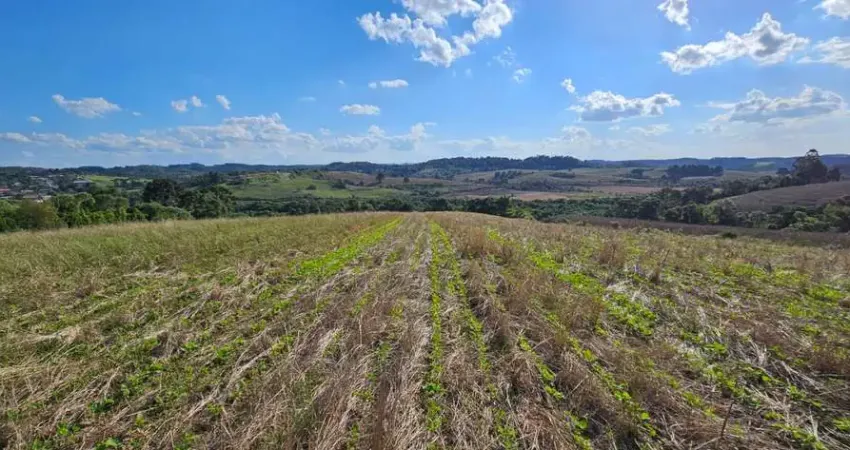 Chácara / sítio à venda na Campo Lençol, Campo Lençol, Rio Negrinho