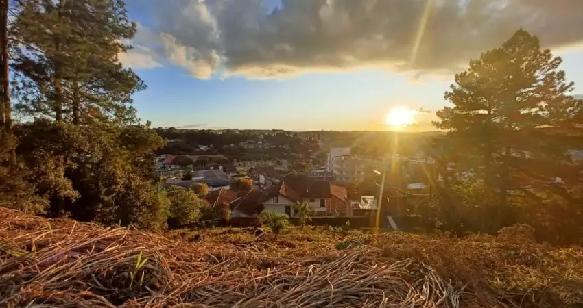 Terreno à venda na Rua Professora Adelaide da Costa, Centro, Rio Negrinho