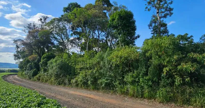 Terreno à venda na Localidade de Campo Novo, Centro, Piên
