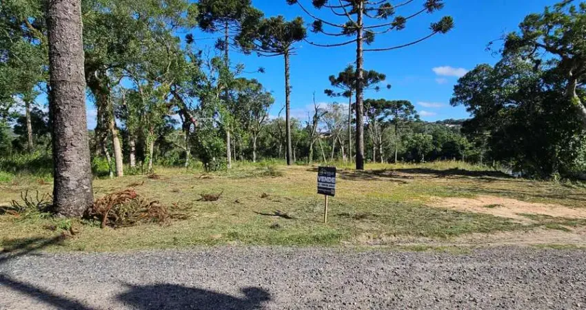 Terreno à venda na Rua Dom Pedro I, Cruzeiro, Rio Negrinho