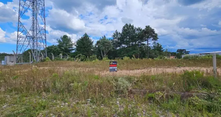 Terreno à venda na Rua Romão Eckel, São Pedro, Rio Negrinho