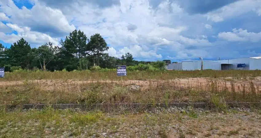 Terreno à venda na Rua Romão Eckel, São Pedro, Rio Negrinho