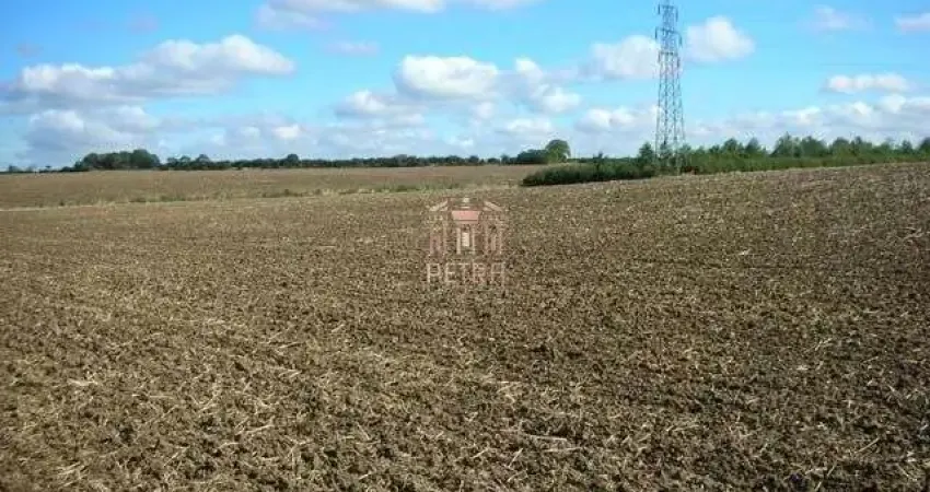 Terreno à venda no Recanto da Fazenda, Nova Odessa 