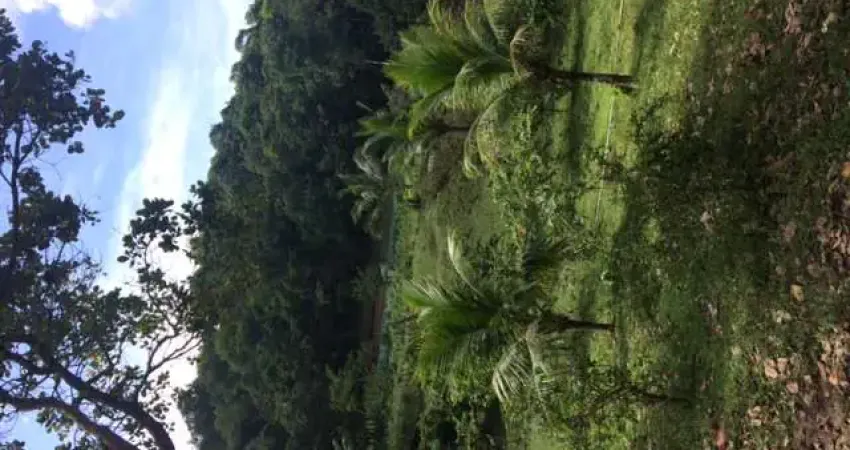 Ótima Granja 3hec, Não Tem Casa, Poço Artesiano, Riacho Perene, Guabiraba, Aceito Carro