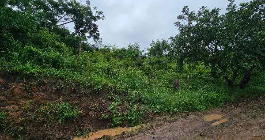 Oportunidade única em lagoa do carro - pe | tipo: terreno | negociação: venda online  | situação: imóvel