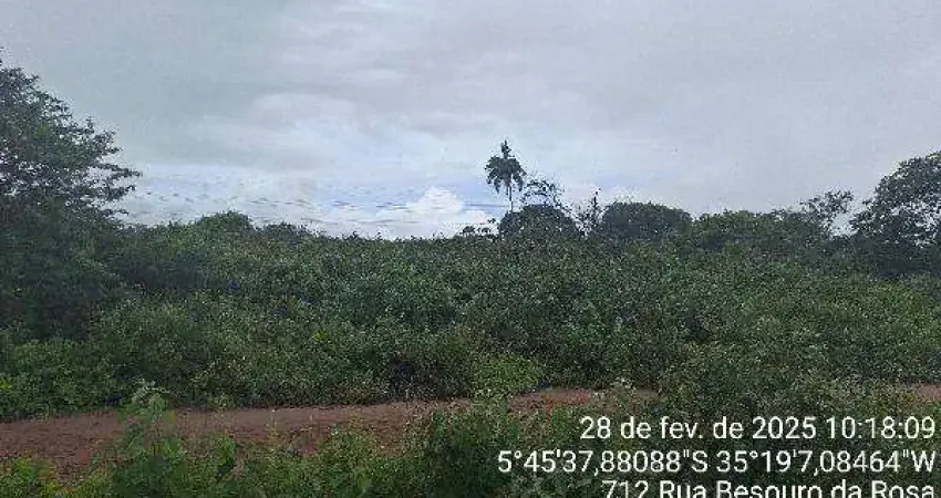 Oportunidade única em sao goncalo do amarante - rn | tipo: terreno | negociação: venda direta online | situação: imóvel