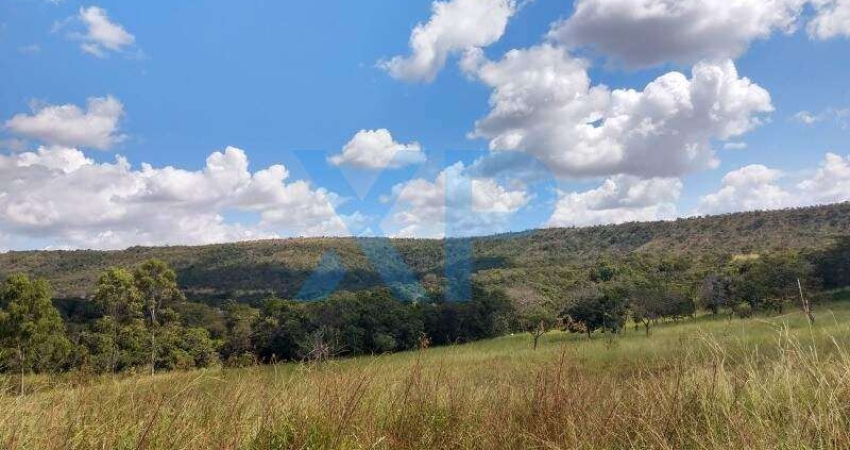 FAZENDA RURAL A VENDA NO MUNICÍPIO DE MORADA NOVA DE MINAS