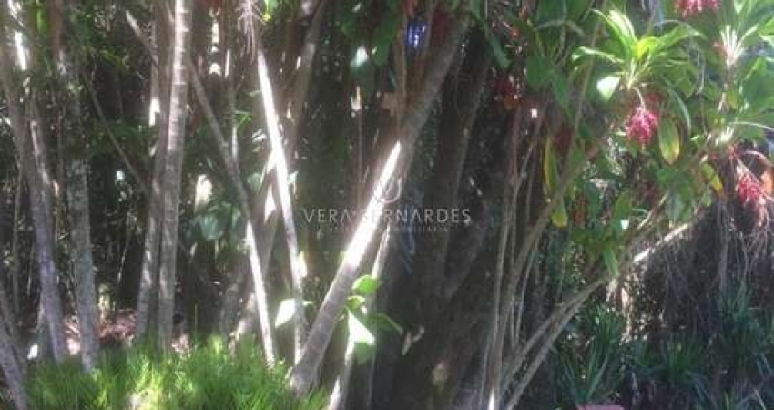 Terreno à venda na Avenida Arlindo Pasqualini, --, Jardim Isabel, Porto Alegre