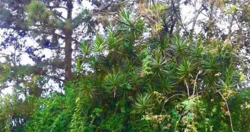 Terreno à venda na Rua Dona Paulina, --, Tristeza, Porto Alegre