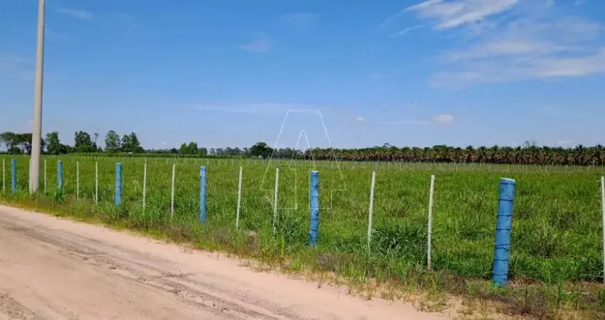 Fazenda à venda no Centro, Araçatuba 