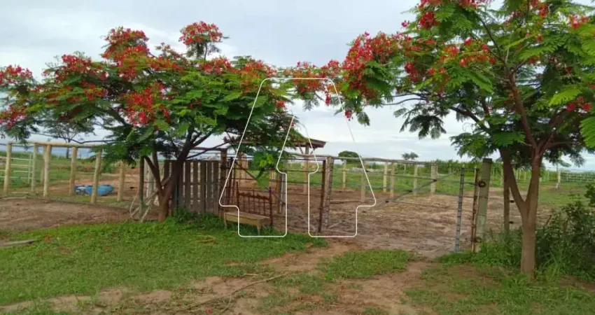 Chácara / sítio com 3 quartos à venda na fazenda macauba de baixo, Centro, Santo Antônio do Aracanguá