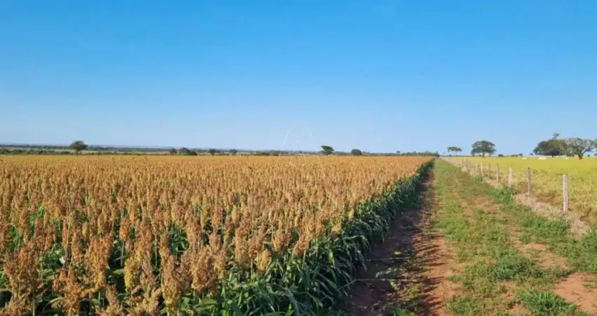 Fazenda à venda no Centro, Nova Andradina 