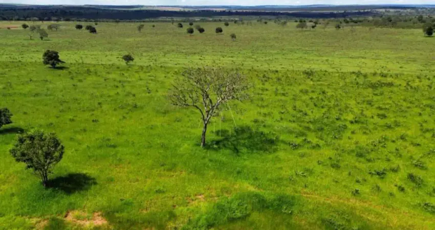 Fazenda à venda no Centro, Paraíso das Águas
