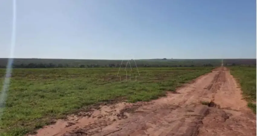Fazenda à venda no Centro, Naviraí 