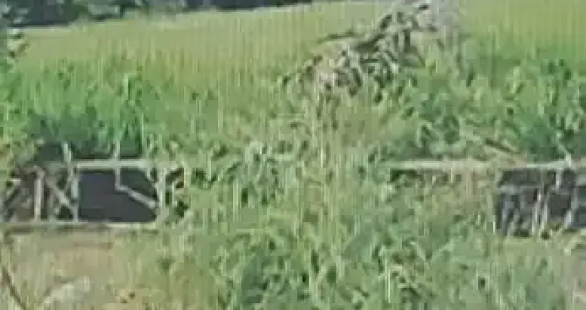 Terreno à venda na Melvin Jones  ao lado 454, 464, Morada dos Nobres, Araçatuba