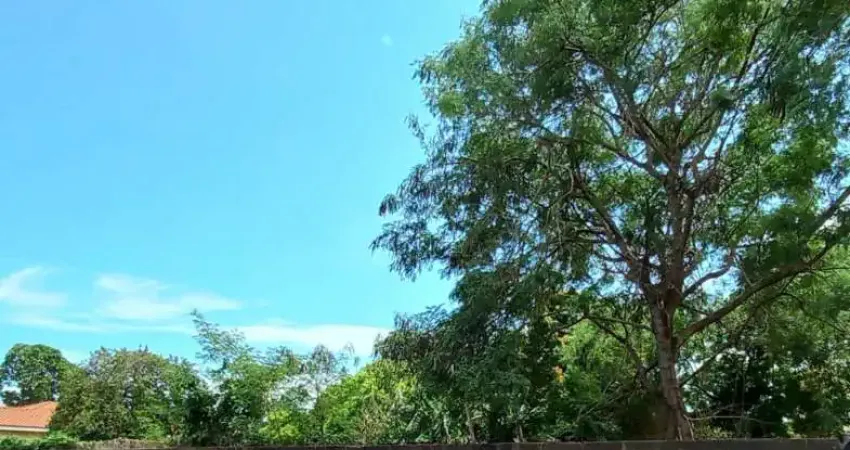 Terreno à venda na Luiza de Marilac, 1139, Dona Amélia, Araçatuba