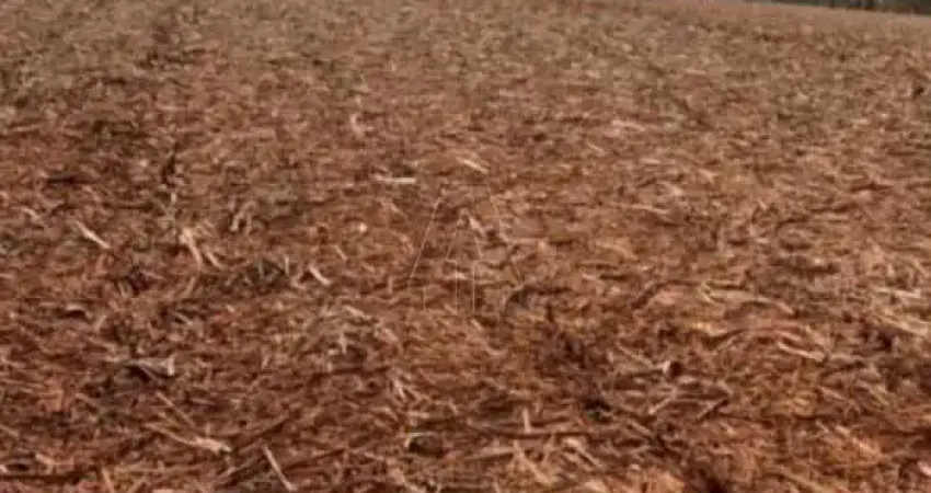 Fazenda à venda na Vila Monte Alegre, Ribeirão Preto 