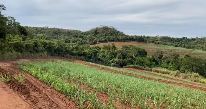 Fazenda à venda na São Carlos, Centro, São Carlos