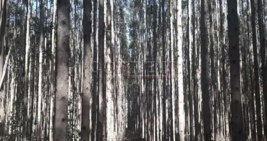 Fazenda à venda na Alameda Ipê, Ipê, Três Lagoas