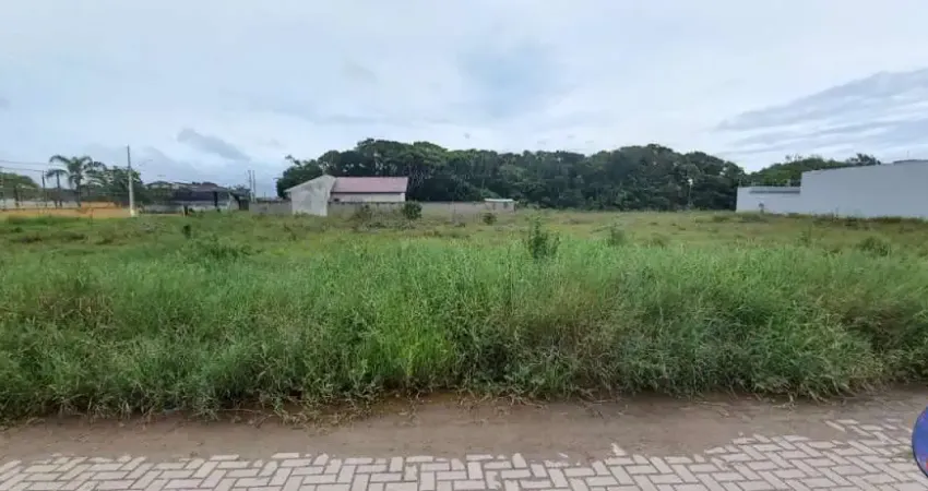 Terreno à venda na Rua Doutor Caetano Munhóz Da Rocha, Brejatuba, Guaratuba