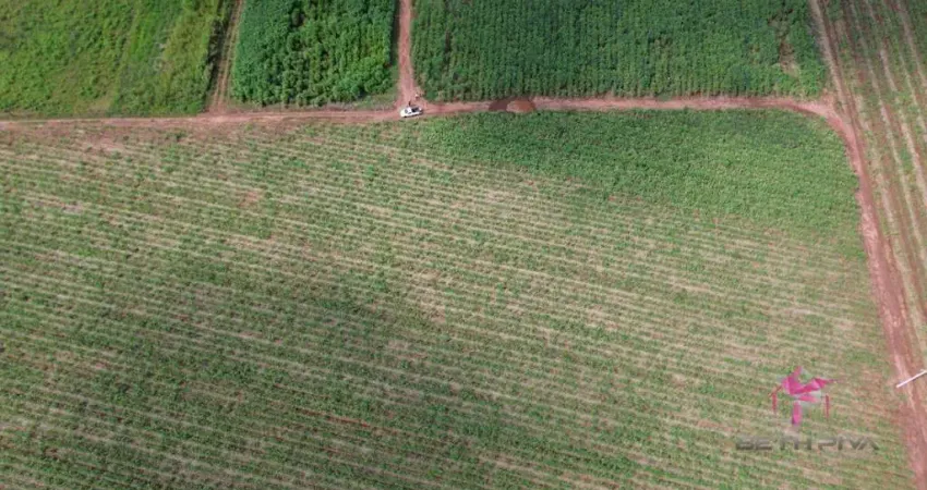 Terreno à venda, 4340 m² por R$ 300.000,00 - Área Rural - Pirassununga/SP