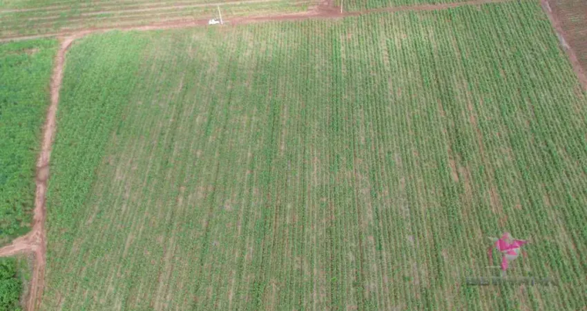 Terreno à venda, 18167 m² por R$ 1.200.000,00 - Área Rural - Pirassununga/SP