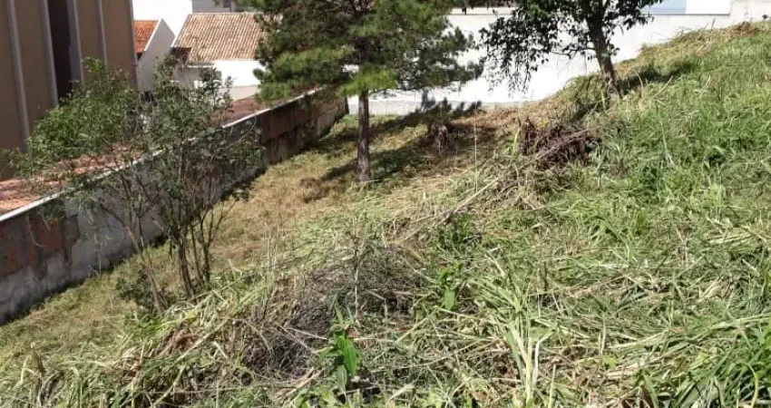Terreno em local alto no Tingui - ótima localização - estuda permuta !