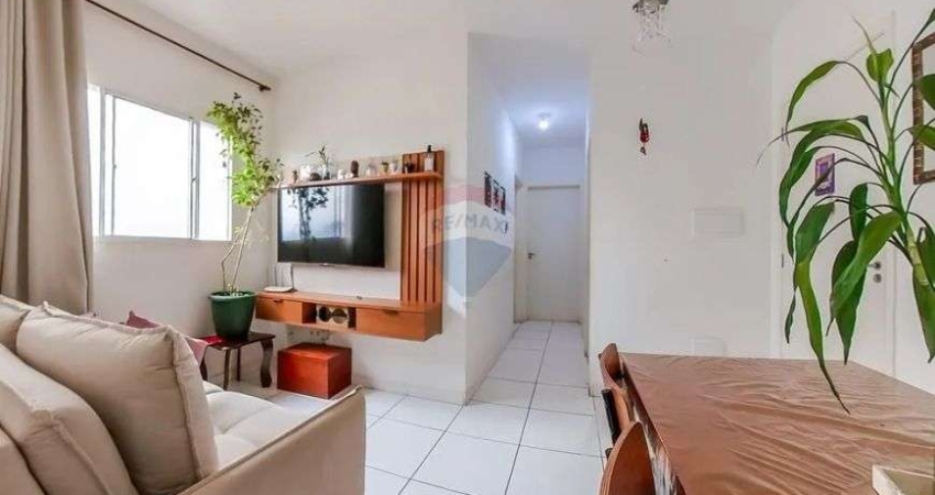 Apartamento a venda no Parque das Orquideas Araras SP