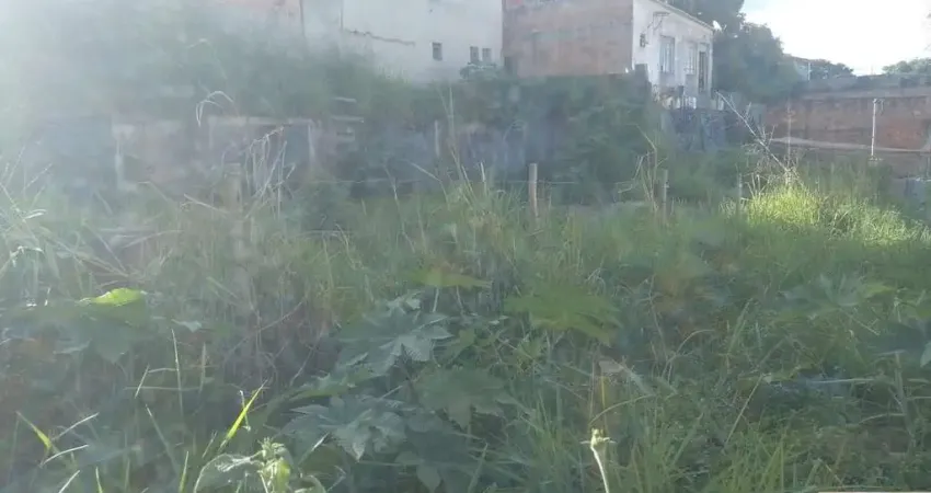 Terreno à venda na Rua Pedrolina Amâncio, 156, Veneza, Ribeirão das Neves