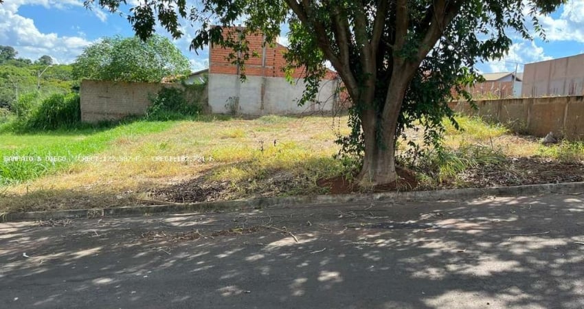 Terreno para Venda em Jaboticabal, Athenas Paulista